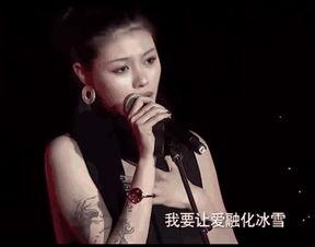 汪峰妻子爆料视频大全播放,揭秘夫妻关系背后的真相